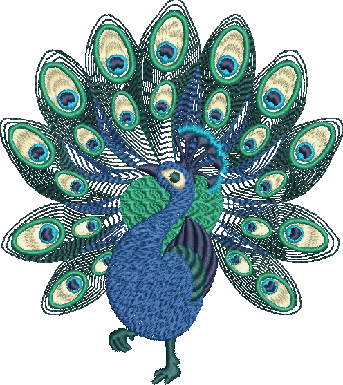 Peacock