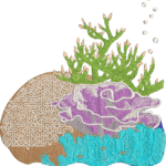 Coral Reef