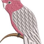 Galah