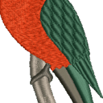 Hatch King Parrot